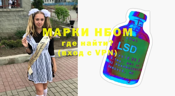 дживик Богородицк