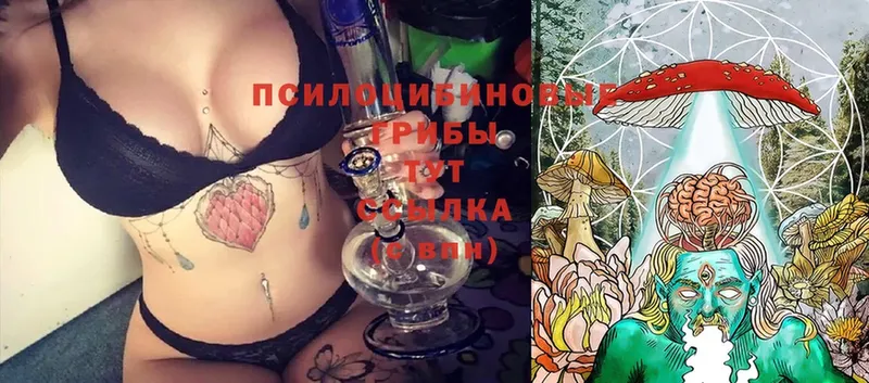 Галлюциногенные грибы MAGIC MUSHROOMS Верхоянск